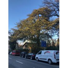 2019-04-05_19-24-13