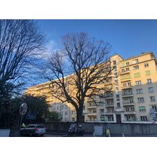 2019-04-05_19-06-19