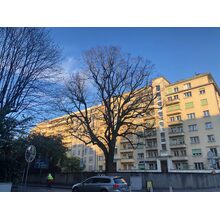 2019-04-05_19-06-18