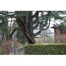 2019-03-02_14-11-31