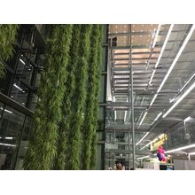 2017-05-20_22-21-43