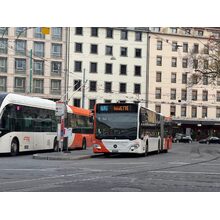 IMG_6797