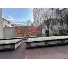 IMG_20241015_134452