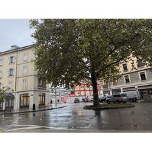 IMG_20241008_082521