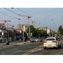 IMG_5539