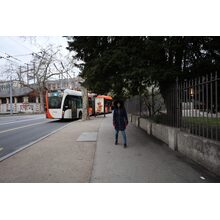 IMG_0195
