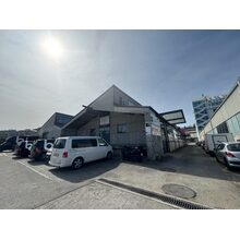 IMG_8453