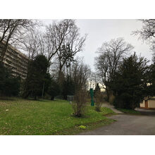 2019-01-01_14-48-59