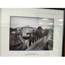 IMG_9260
