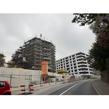 IMG_2970