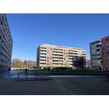 IMG_3641