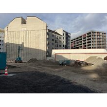 IMG_3528