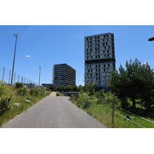 2026-06-12_13-16-58