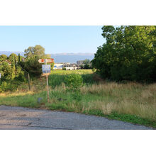 2026-06-30_07-30-56
