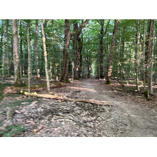 2026-06-18_07-17-33