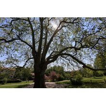 2019-05-26_10-29-27