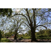 2019-05-26_10-29-09