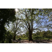 2019-05-26_10-29-06