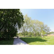 2019-05-26_10-28-44
