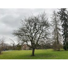 2020-02-02_16-53-22