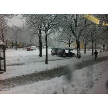 2010-12-01_14-11-35