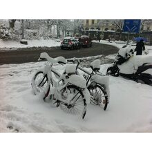 2010-12-01_13-58-57