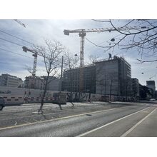 IMG_8437