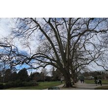 2017-02-26_14-43-02