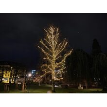 2021-12-27_20-11-52