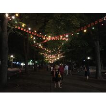 2016-08-01_23-22-55