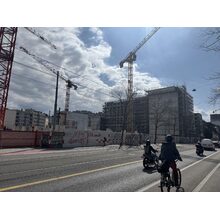 IMG_8534