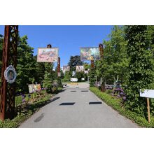 2019-05-26_10-32-32