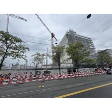IMG_9215