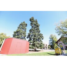 2019-09-29_13-21-01