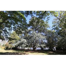 2019-09-29_13-03-39