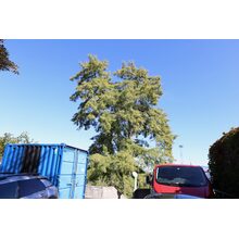 2019-09-29_12-54-29