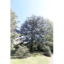2019-09-29_12-04-45