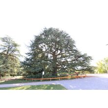 2019-09-29_11-39-53