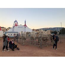 2019-09-12_19-48-11
