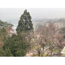 2020-01-25_11-10-20