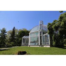 2019-05-26_10-23-24