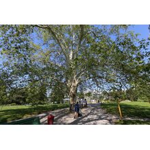 2019-05-26_09-39-17
