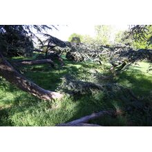 2019-05-05_17-16-58