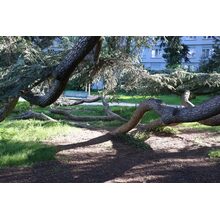 2019-05-05_17-15-54