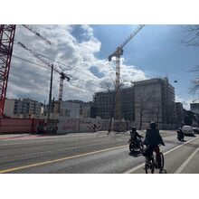 IMG_8534