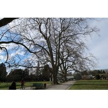 2017-02-26_14-47-30