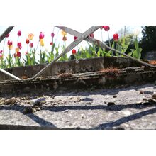 2019-04-14_13-39-56