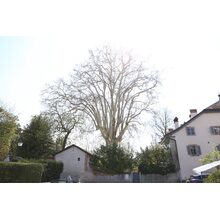 2019-04-14_13-25-32