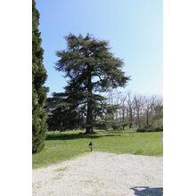 2019-04-14_12-32-06