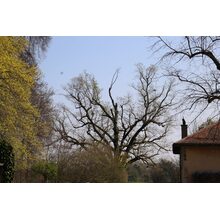 2019-04-14_09-51-08